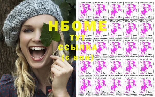 шишки Абинск