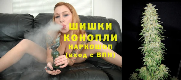 шишки Абинск