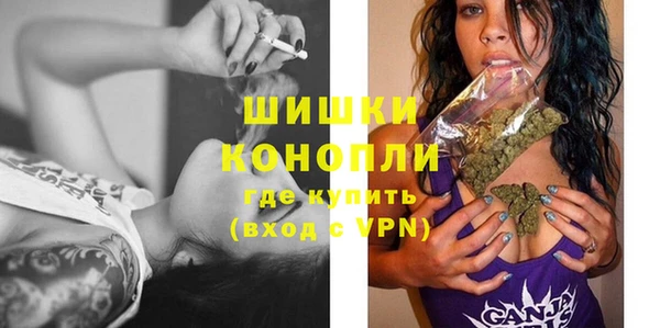 шишки Абинск