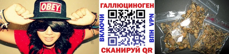 где купить наркоту  Абакан  Галлюциногенные грибы MAGIC MUSHROOMS 