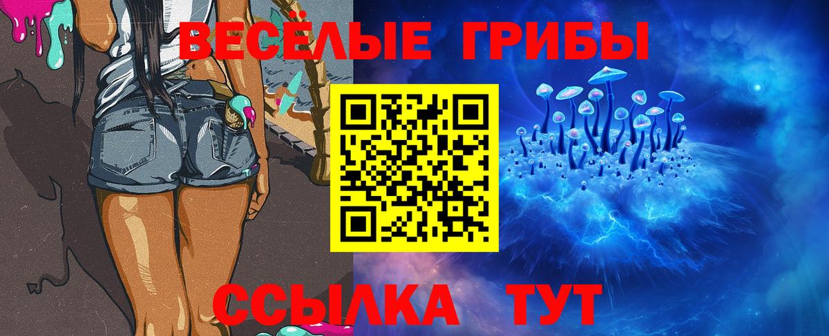 купить наркотик  Псилоцибиновые грибы прущие грибы  Вход с VPN  Абакан 