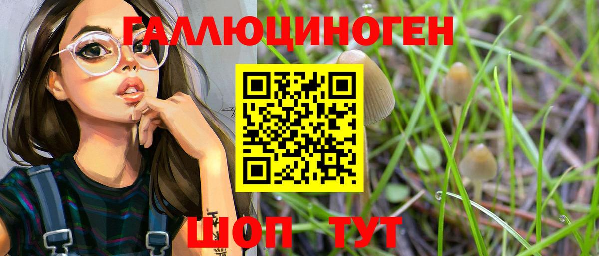 Codein Абакан