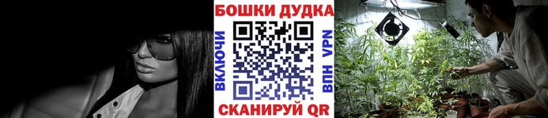 где купить наркотик Абакан Бошки Шишки Ganja